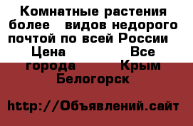 Комнатные растения более200видов недорого почтой по всей России › Цена ­ 100-500 - Все города  »    . Крым,Белогорск